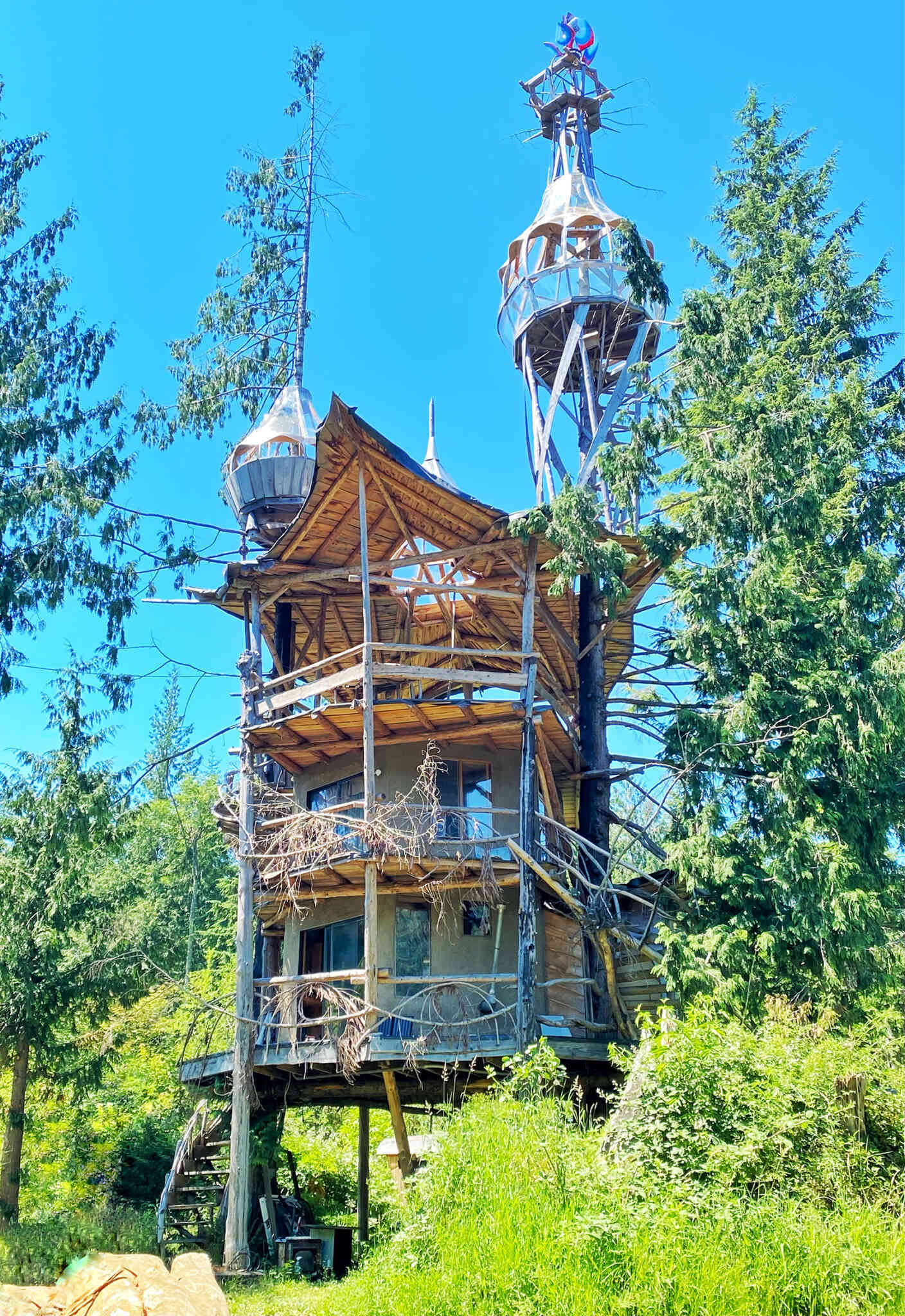 SunRay Kelley's Latest Treehouse Lloyd's Blog